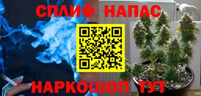 дживик Гусев