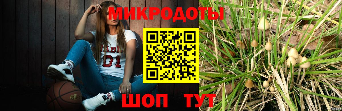 Галлюциногенные грибы MAGIC MUSHROOMS Новоалександровск