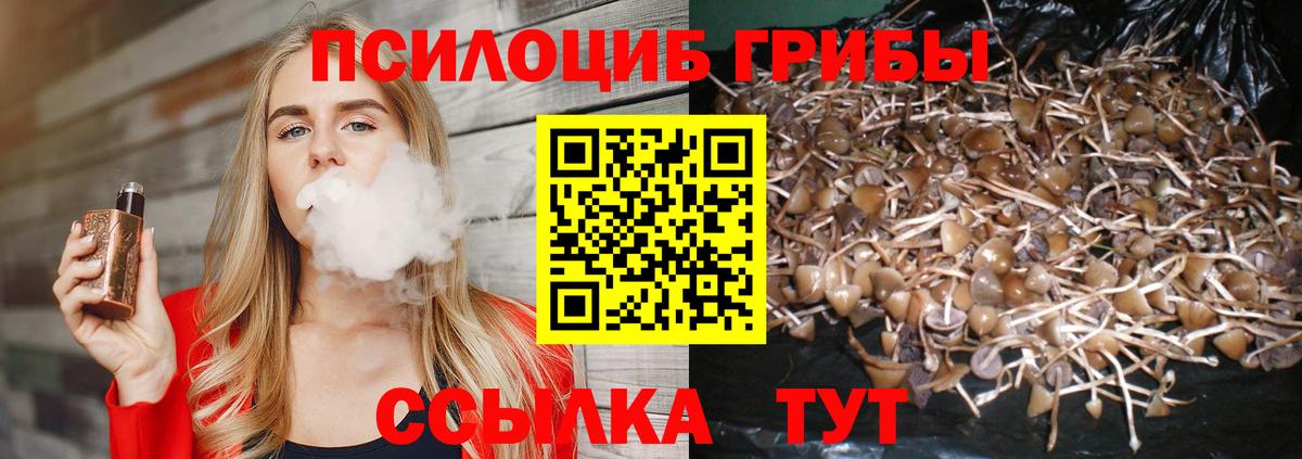 Новоалександровск  Псилоцибиновые грибы прущие грибы  Вход с VPN 